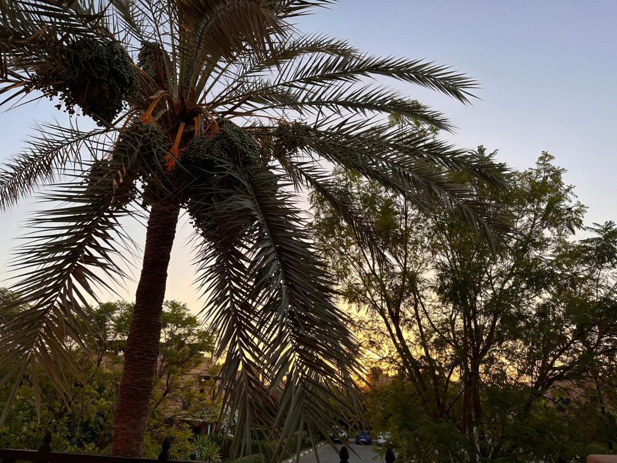 Palm View Marrakesch